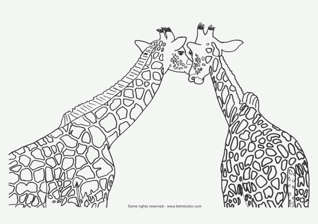 giraffe02_coloring_page