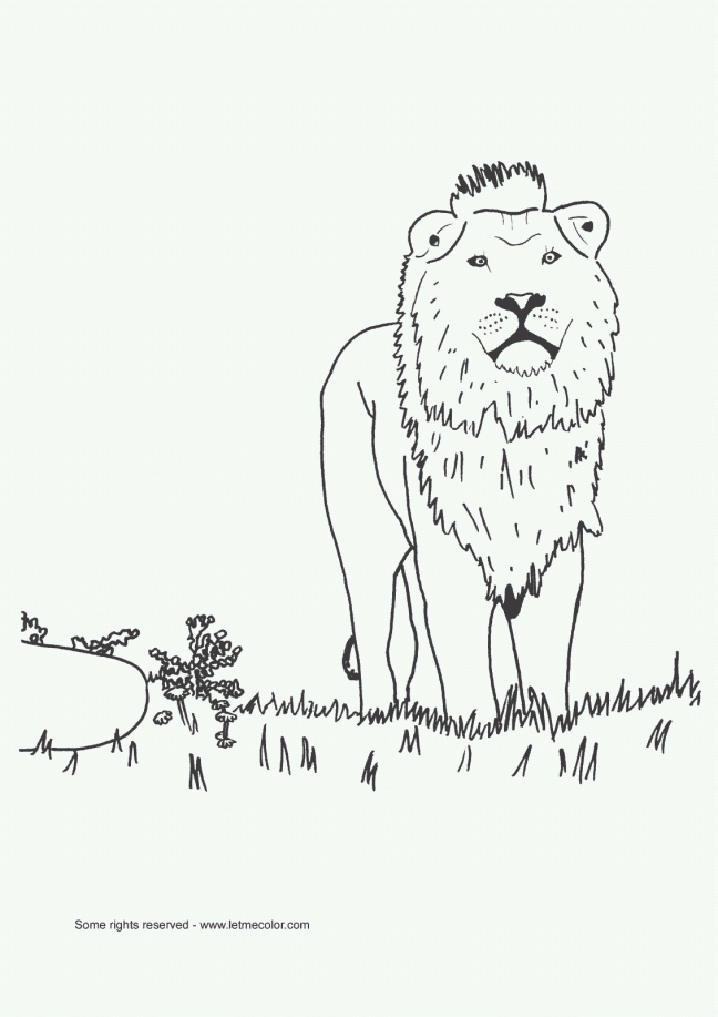 lion_coloring_page