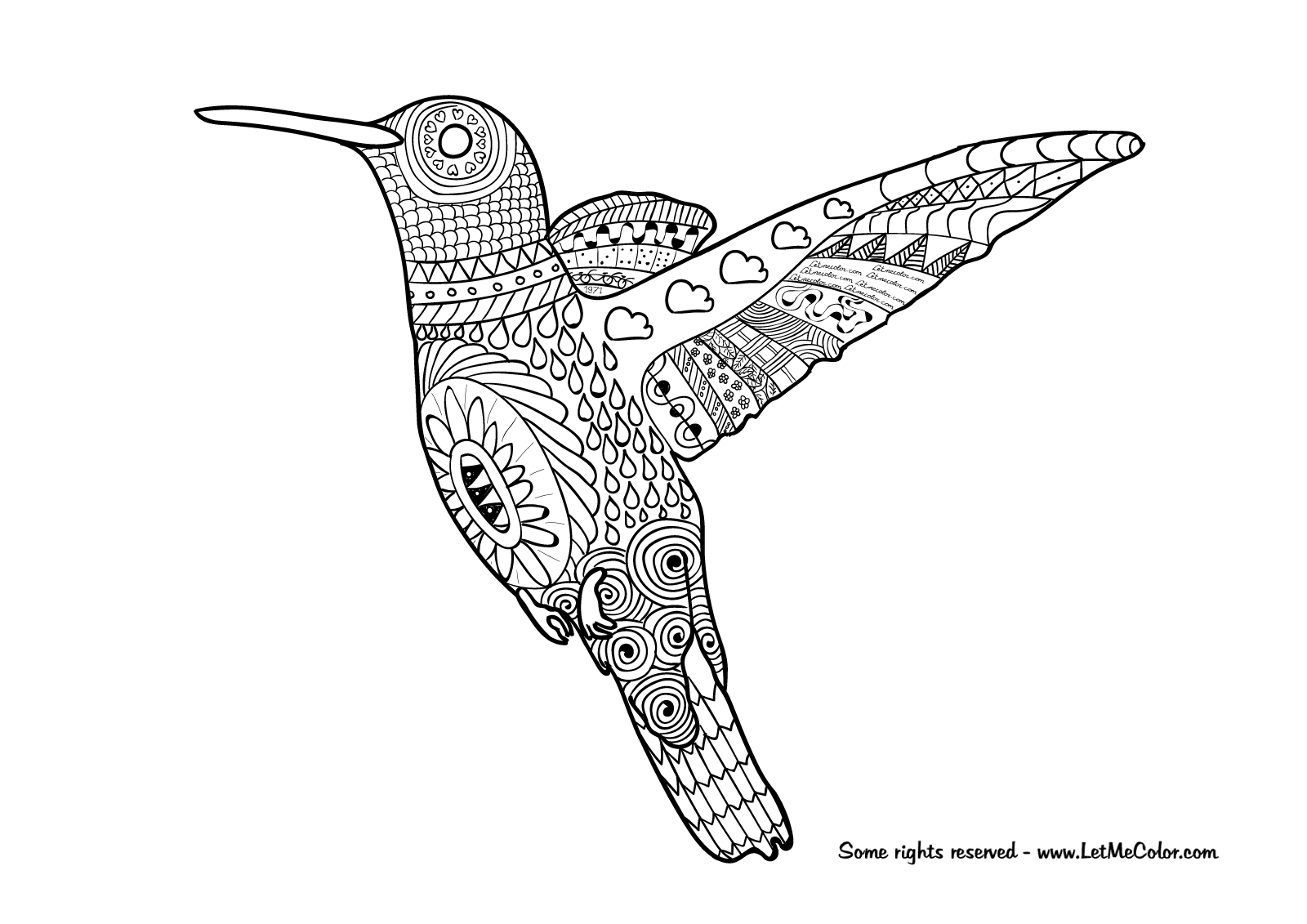 Adult Coloring Page Hummingbird